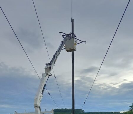 Energía de Misiones trabaja para reponer el servicio afectado por frente de tormentas imagen-2