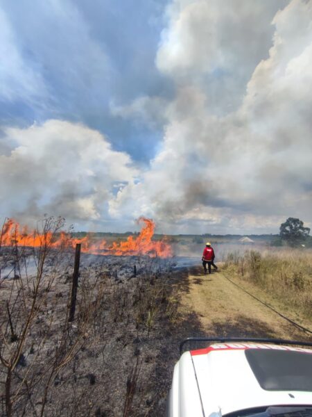 Sofocan un incendio de gran magnitud en Itaembé Guazú imagen-9