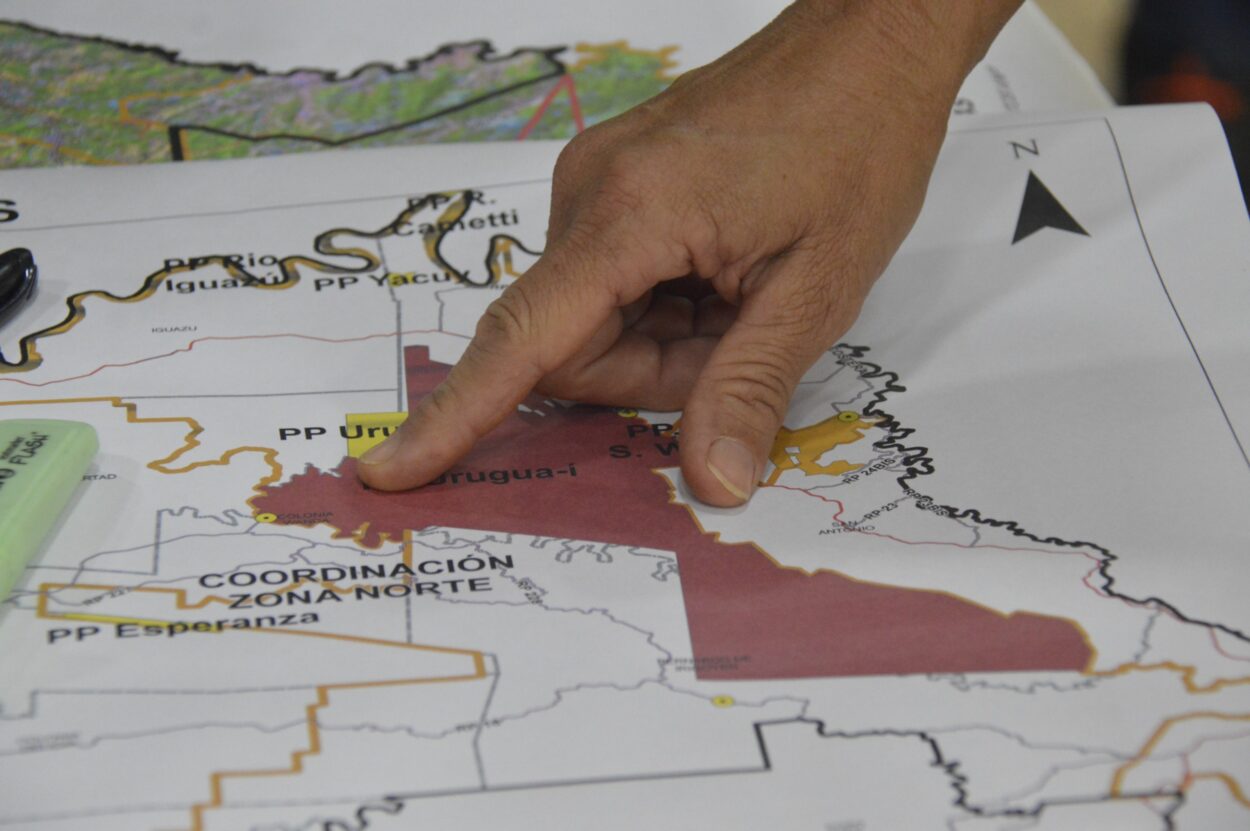 Tala ilegal: el Comité de Crisis se reunió en Urugua-í y acordó avanzar con un censo de vecinos y la confección de un mapa de puntos calientes imagen-7