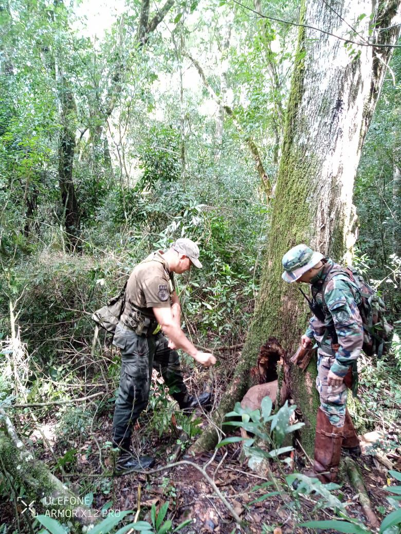 Operativo conjunto refuerza la protección de la biodiversidad del Parque Federal Campo San Juan imagen-3