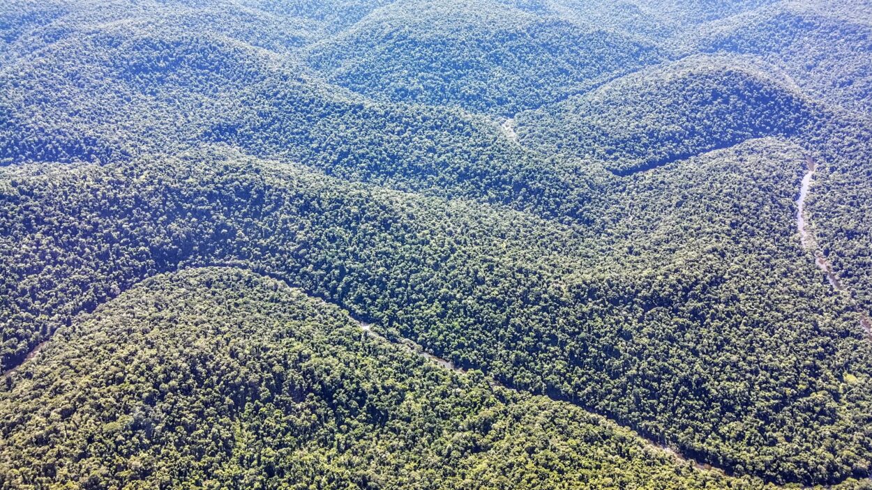 Patrullan desde el aire los parques Piñalito y Esmeralda: no detectaron desmontes imagen-2