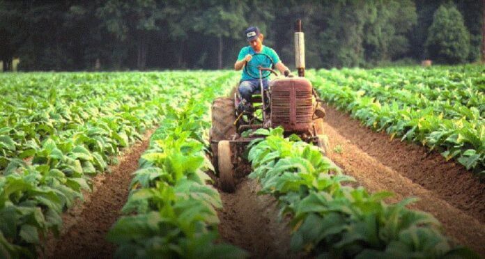 Retenciones cero: cómo Misiones impulsó un beneficio histórico imagen-1