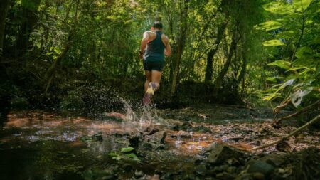 Misiones Trail de la Selva: deporte, naturaleza y cultura en una experiencia única imagen-7