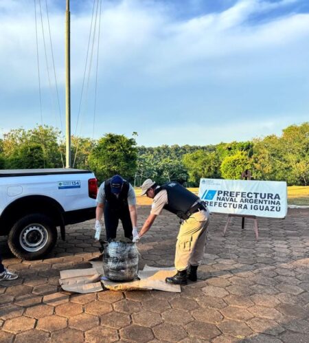 Secuestran marihuana en Puerto Iguazú valuada en más de $36 millones imagen-4