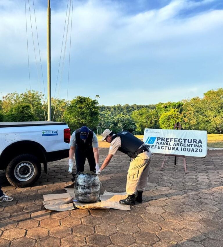 Secuestran marihuana en Puerto Iguazú valuada en más de $36 millones imagen-47