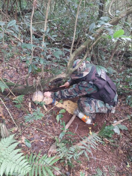 Protección de la biodiversidad: Policías ambientales desarmaron campamentos ilegales de caza imagen-4