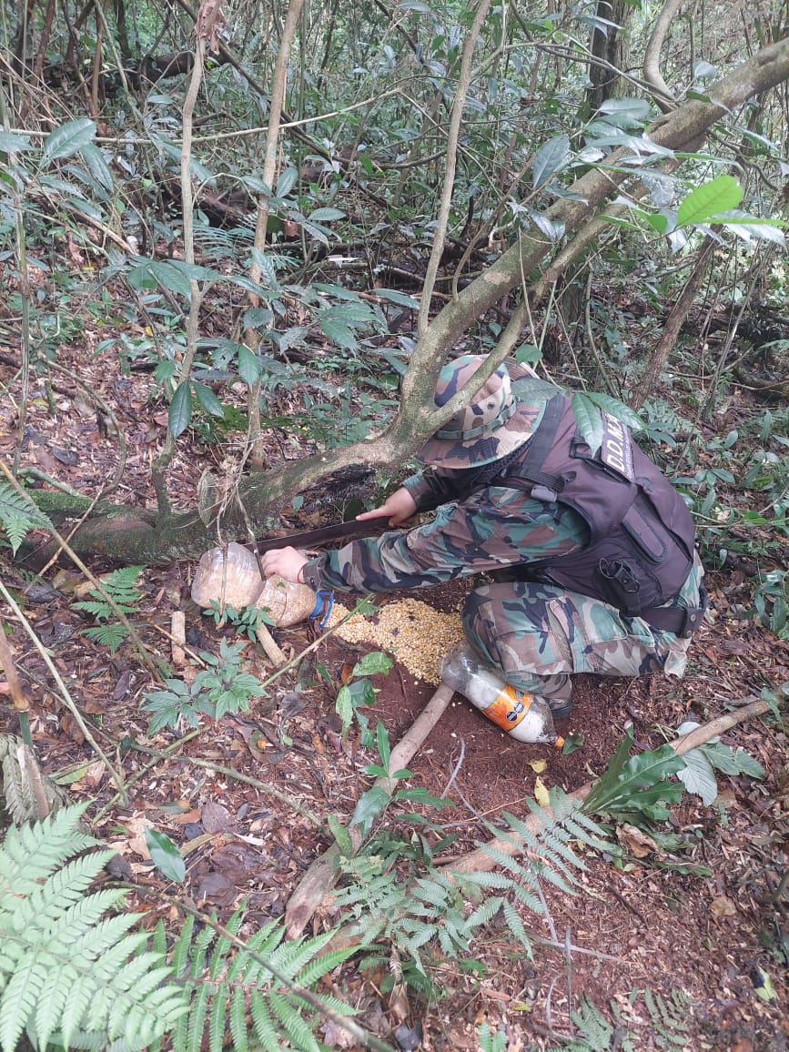 Protección de la biodiversidad: Policías ambientales desarmaron campamentos ilegales de caza imagen-8