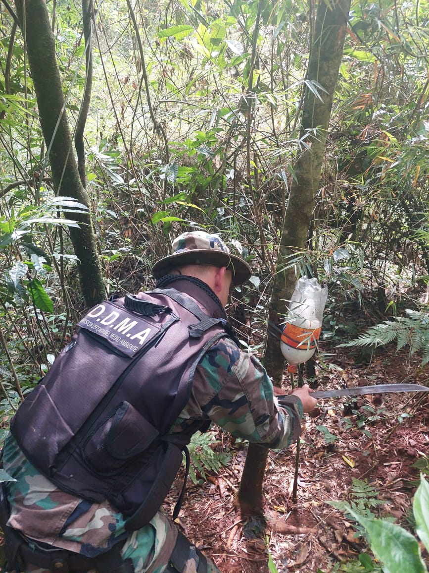 Protección de la biodiversidad: Policías ambientales desarmaron campamentos ilegales de caza imagen-4