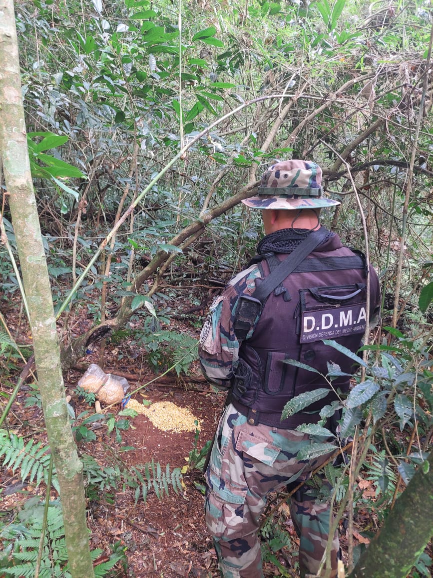 Protección de la biodiversidad: Policías ambientales desarmaron campamentos ilegales de caza imagen-6