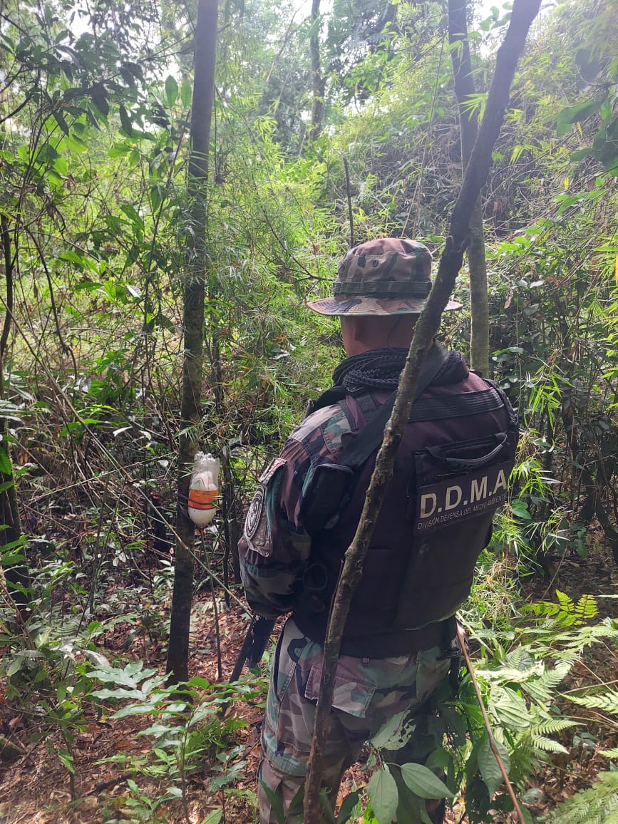 Protección de la biodiversidad: Policías ambientales desarmaron campamentos ilegales de caza imagen-2