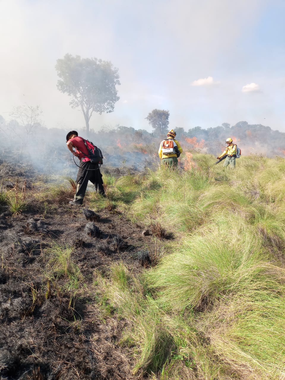 Bomberos de la Policía trabajaron unas 10 horas para detener un frente de incendio en Santa Ana imagen-6