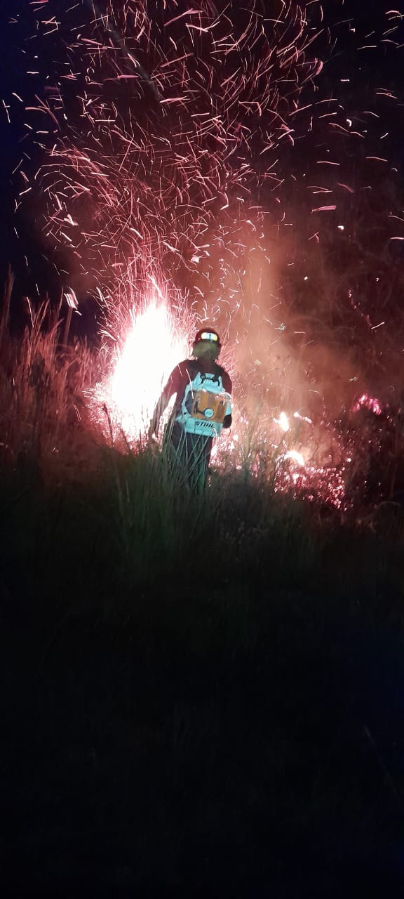 Bomberos de la Policía trabajaron unas 10 horas para detener un frente de incendio en Santa Ana imagen-2