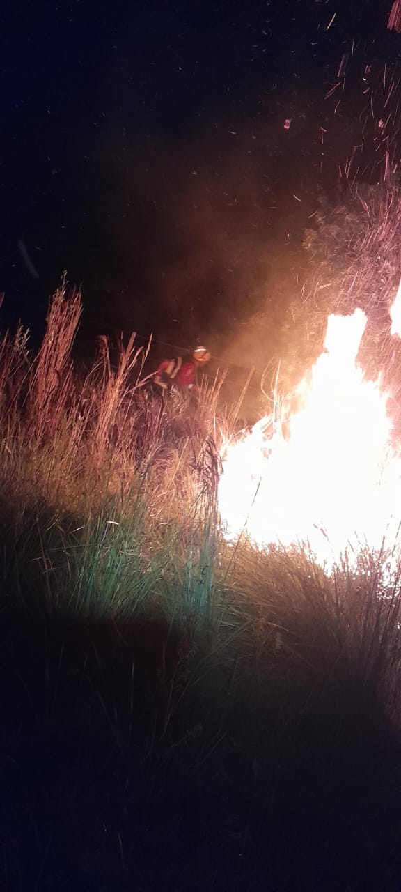 Bomberos de la Policía trabajaron unas 10 horas para detener un frente de incendio en Santa Ana imagen-4