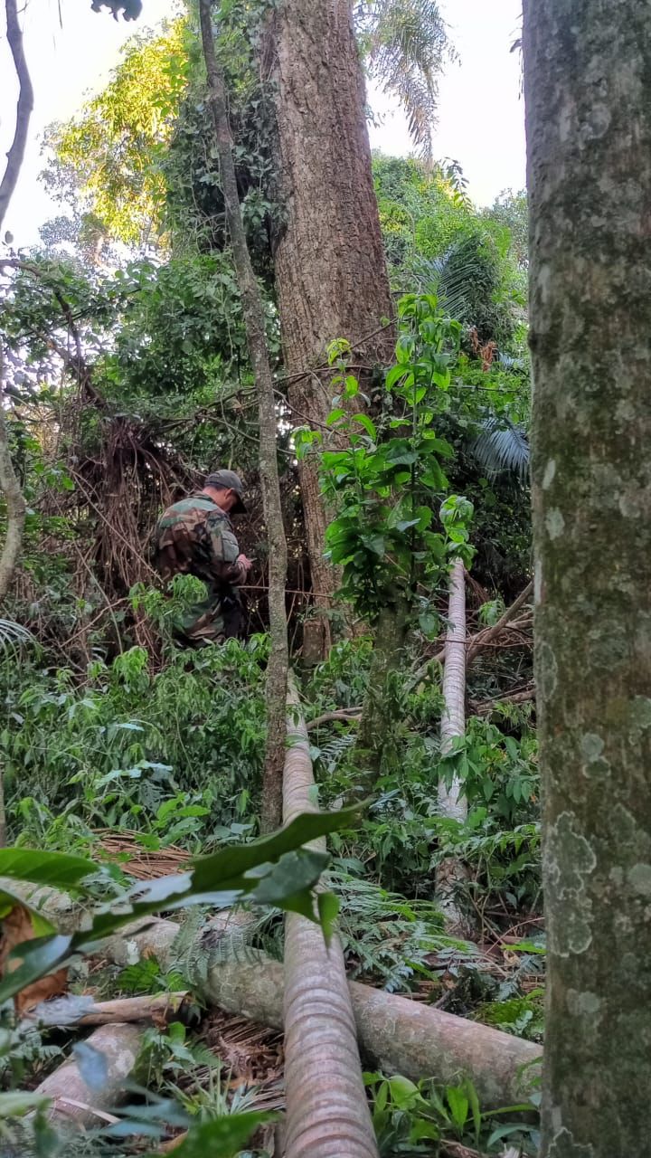 Intensa patrulla de guardaparques en Puerto Península para mitigar la presencia de cazadores furtivos imagen-4