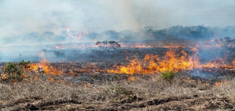 Autoridades reiteraron la prohibición de las quemas en Posadas imagen-44