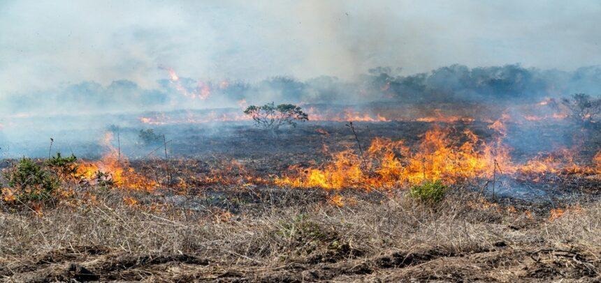 Autoridades reiteraron la prohibición de las quemas en Posadas: Una medida para proteger la salud pública y el medio ambiente imagen-6