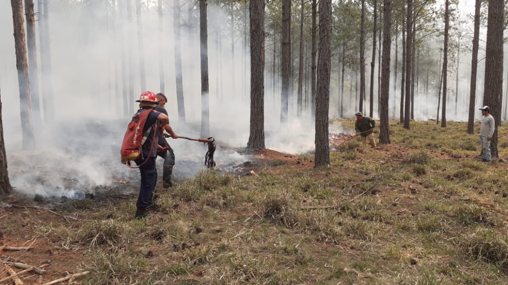 Alerta por incendios: ya son 13 los Departamentos de Misiones en "riesgo alto" imagen-1