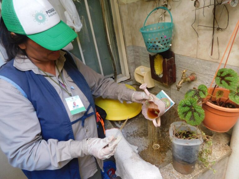 Campaña permanente contra el dengue: acciones intensivas en toda la ciudad imagen-49