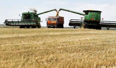 La falta de lluvias y los reclamos por retenciones mantienen en vilo a los productores rurales imagen-2