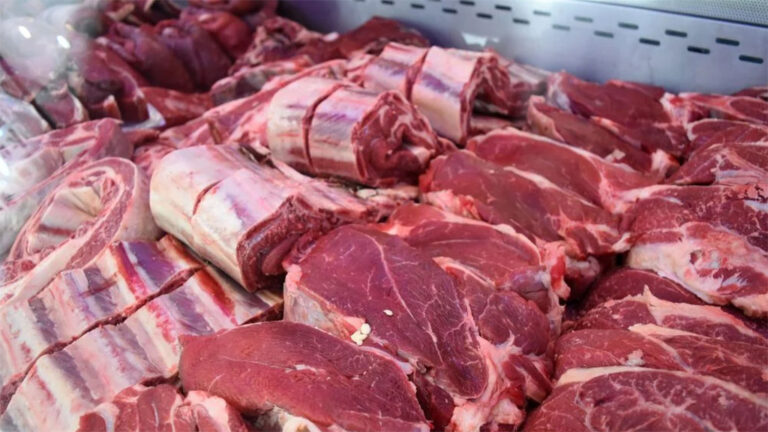 La baja en el ingreso de hacienda dispara los precios de la carne más de 7% imagen-36