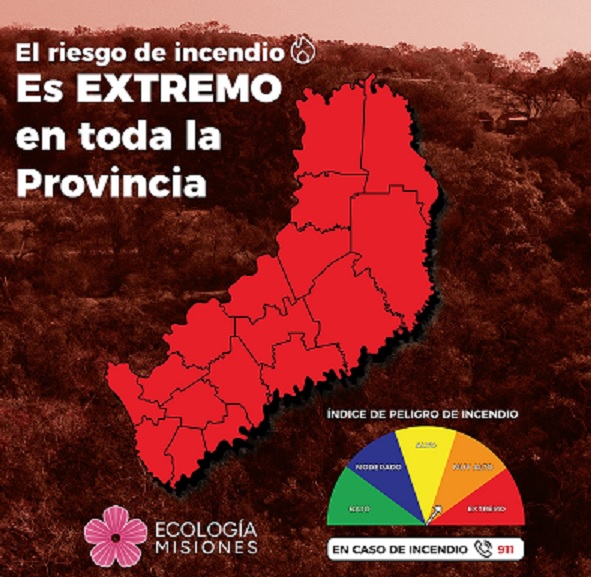 Advierten que la Provincia “aplicará todo el peso de la ley” a los responsables de provocar incendios imagen-7