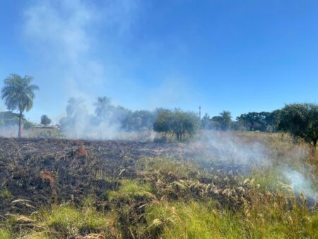 Posadas: Policías detuvieron a un hombre que inició un incendio de pastizales imagen-2