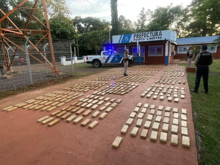 Secuestran en Puerto Libertad más de 600 kilos de marihuana valuados en una suma millonaria imagen-17