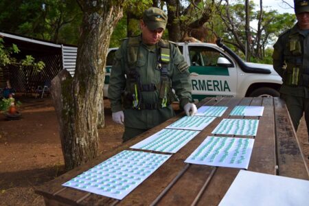 Llevaba 600 pastillas de éxtasis desde Posadas a Buenos Aires, quedó detenido imagen-4