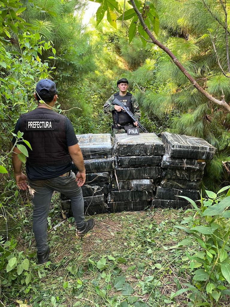 Secuestran en Puerto Libertad más de 600 kilos de marihuana valuados en una suma millonaria imagen-4