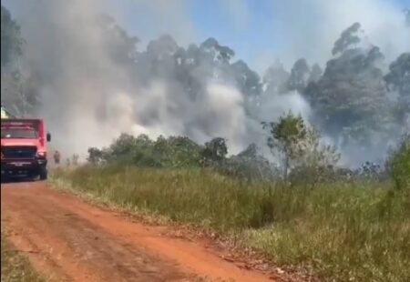 Incendios: “Este es un fenómeno atípico producto del cambio climático”, advierten imagen-11