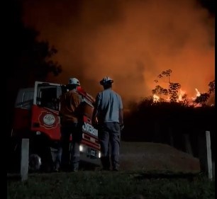 Controlan incendio de pastizales en planta de empresa forestal de Puerto Piray imagen-6