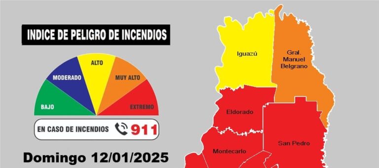 Peligro de incendios: ligero y efímero descenso en el Norte de Misiones imagen-28