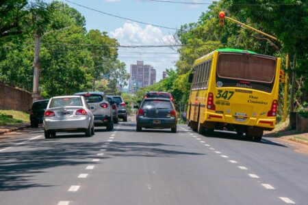 Posadas: “Con las manos únicas en avenidas se redujeron en un 50% los siniestros viales” imagen-5