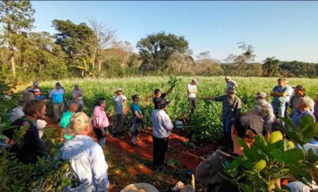 Exención impositiva: casi 10 mil productores primarios misioneros ya acceden al beneficio fiscal imagen-2