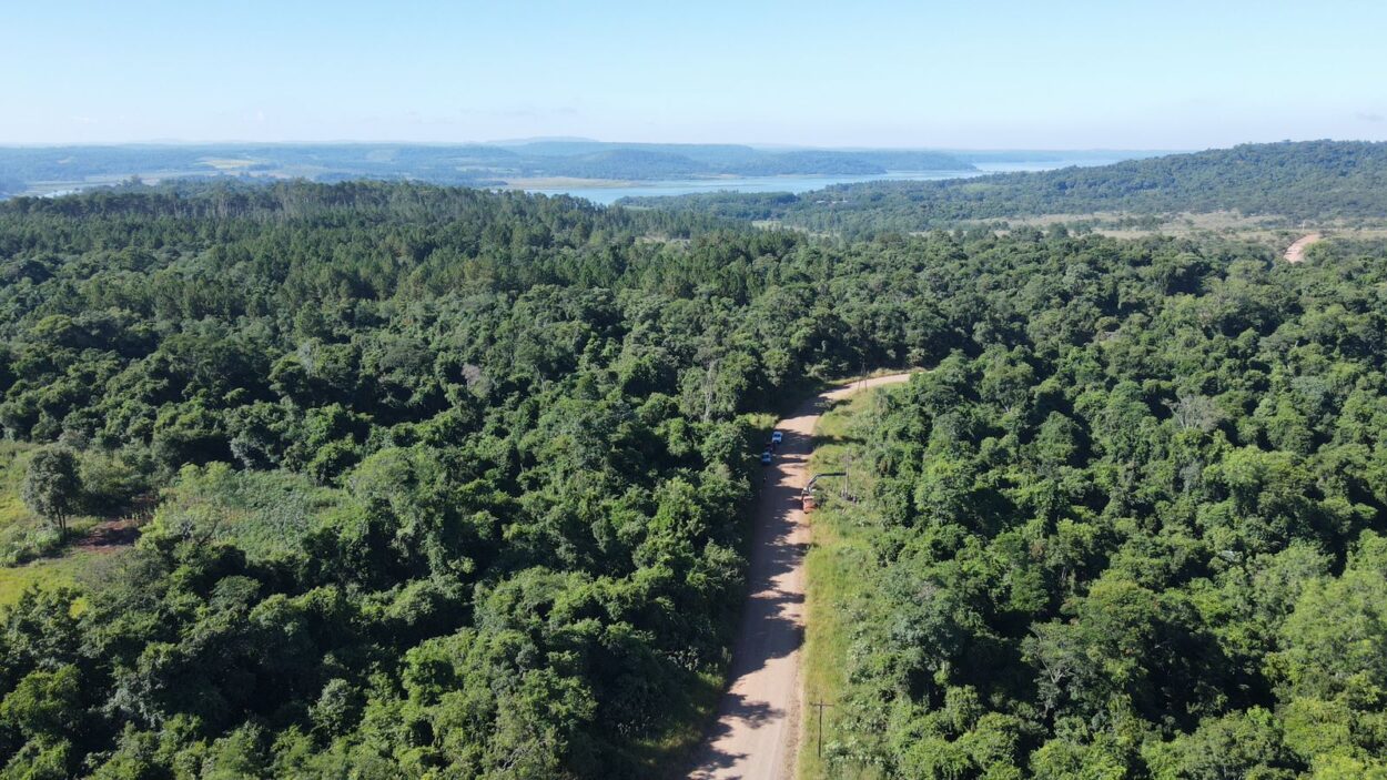 Energía eléctrica: avance clave en la remodelación de línea "Teyú Cuaré" para potenciar el turismo en Misiones imagen-8