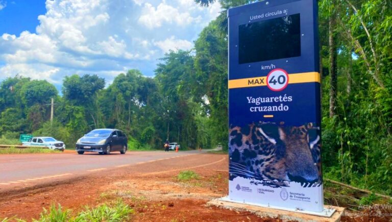 Instalan controles de velocidad en el Parque Nacional Iguazú para proteger la fauna imagen-24