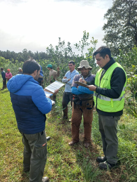 Otorgan más de 2.800 prestaciones por desempleo en Misiones durante el 2024 imagen-2