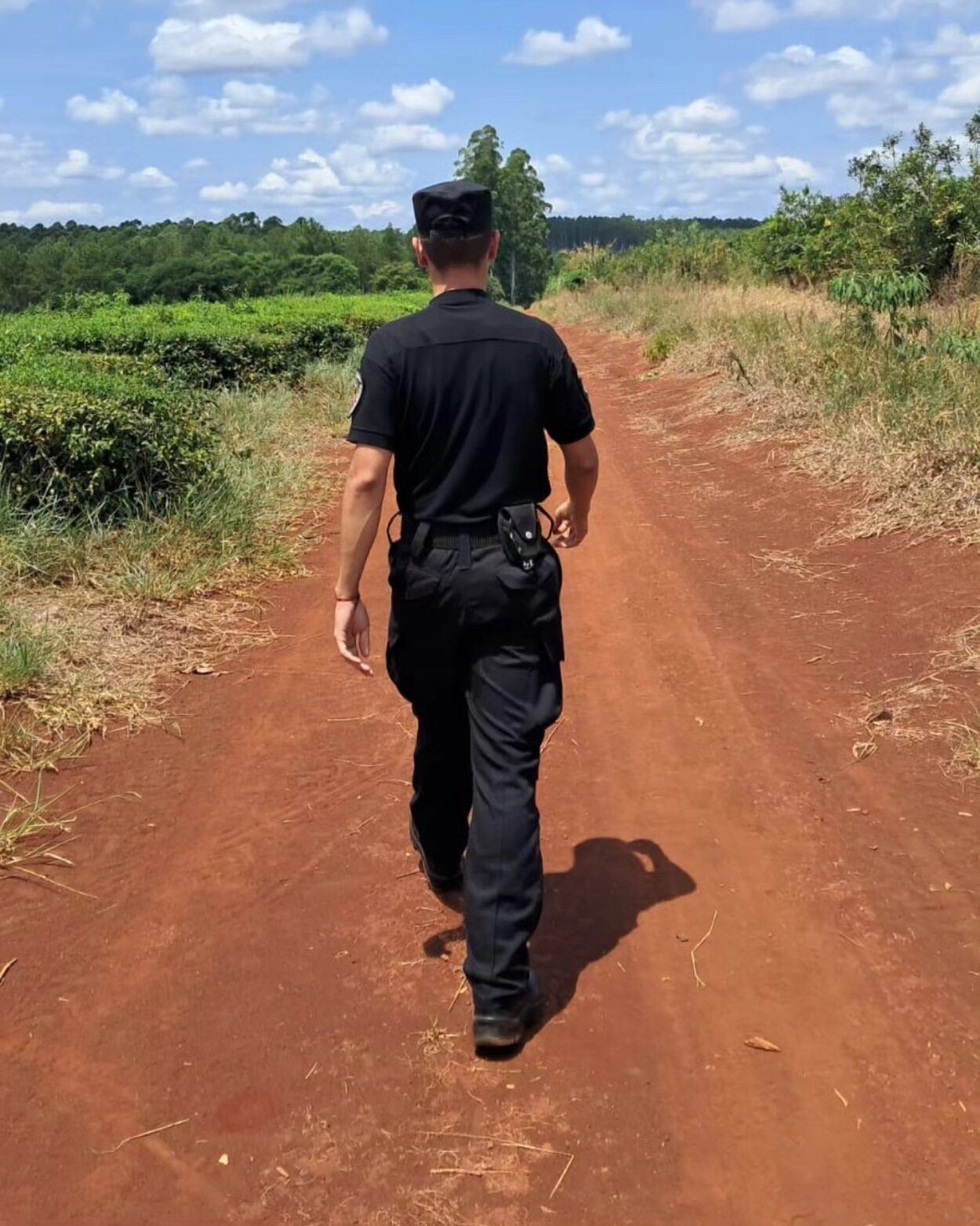 Redoblan los operativos rurales en colonias de Jardín América imagen-8