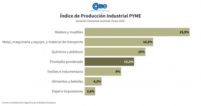 La industria pyme creció 12,2% anual en enero imagen-4