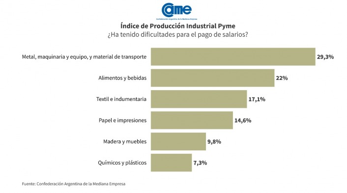 La industria pyme creció 12,2% anual en enero imagen-6