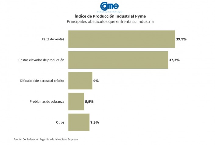 La industria pyme creció 12,2% anual en enero imagen-8