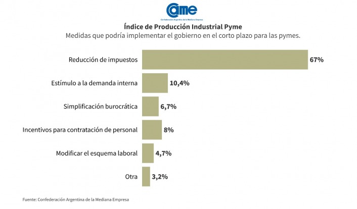 La industria pyme creció 12,2% anual en enero imagen-12