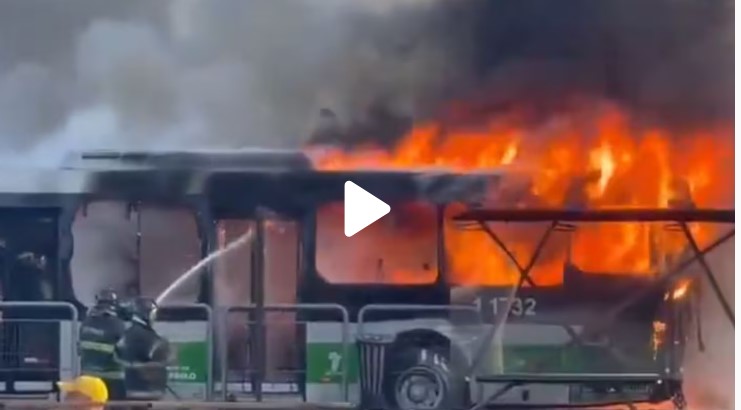 Una avioneta se estrelló contra un colectivo en una avenida de San Pablo: hay al menos dos muertos imagen-14