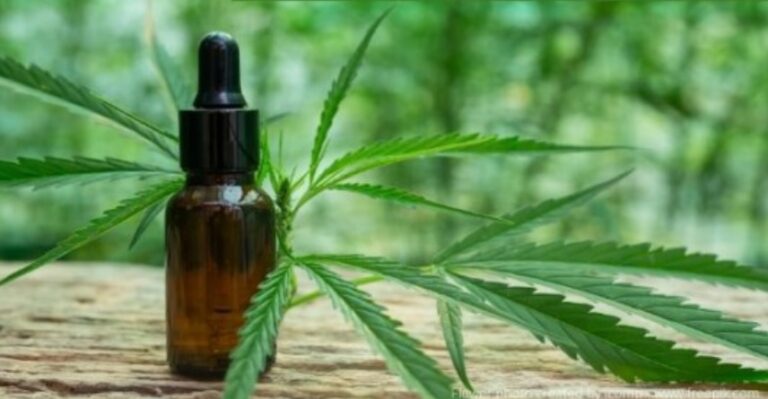 Organizaciones cuestionan la baja de los permisos del Reprocann: "El autocultivo va en contra del narcotráfico" imagen-17