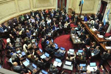 Bajo un clima de incertidumbre, el Senado sesionará este jueves para sancionar la suspensión de las Paso imagen-9