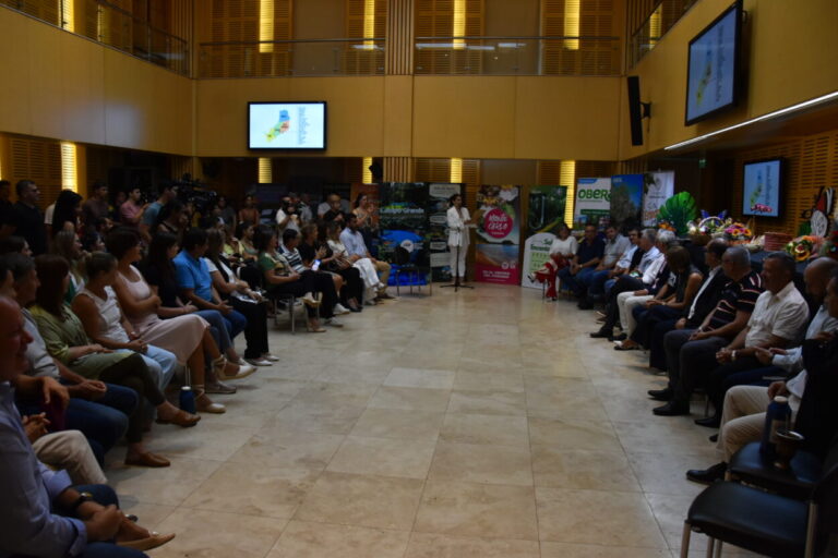 “Vivir Misiones”: la Legislatura presentó los atractivos de la zona centro de la provincia imagen-9