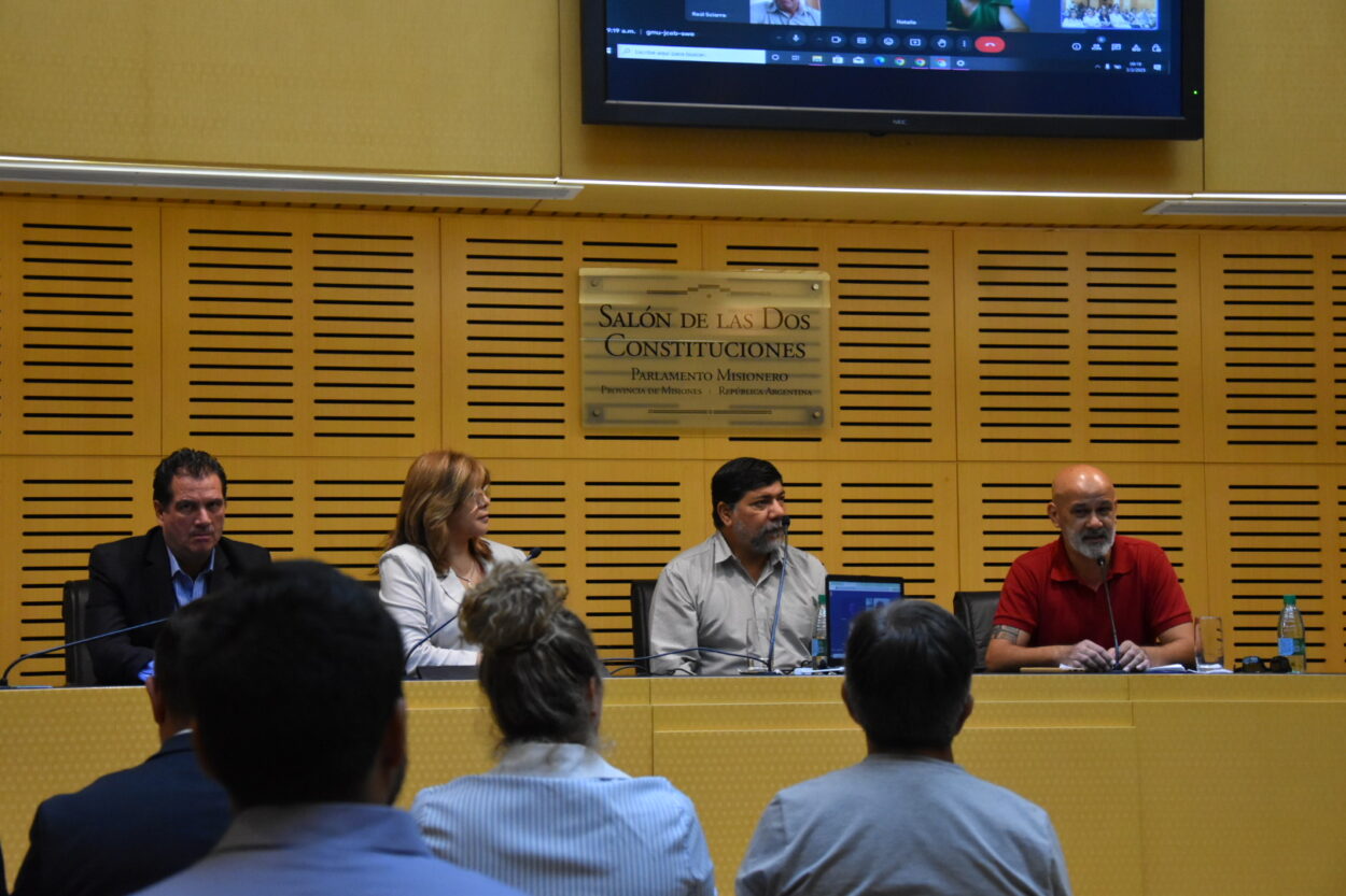 Presentaron en la Legislatura una iniciativa que permite recibir gratis por mensajería libros de escritores misioneros imagen-4