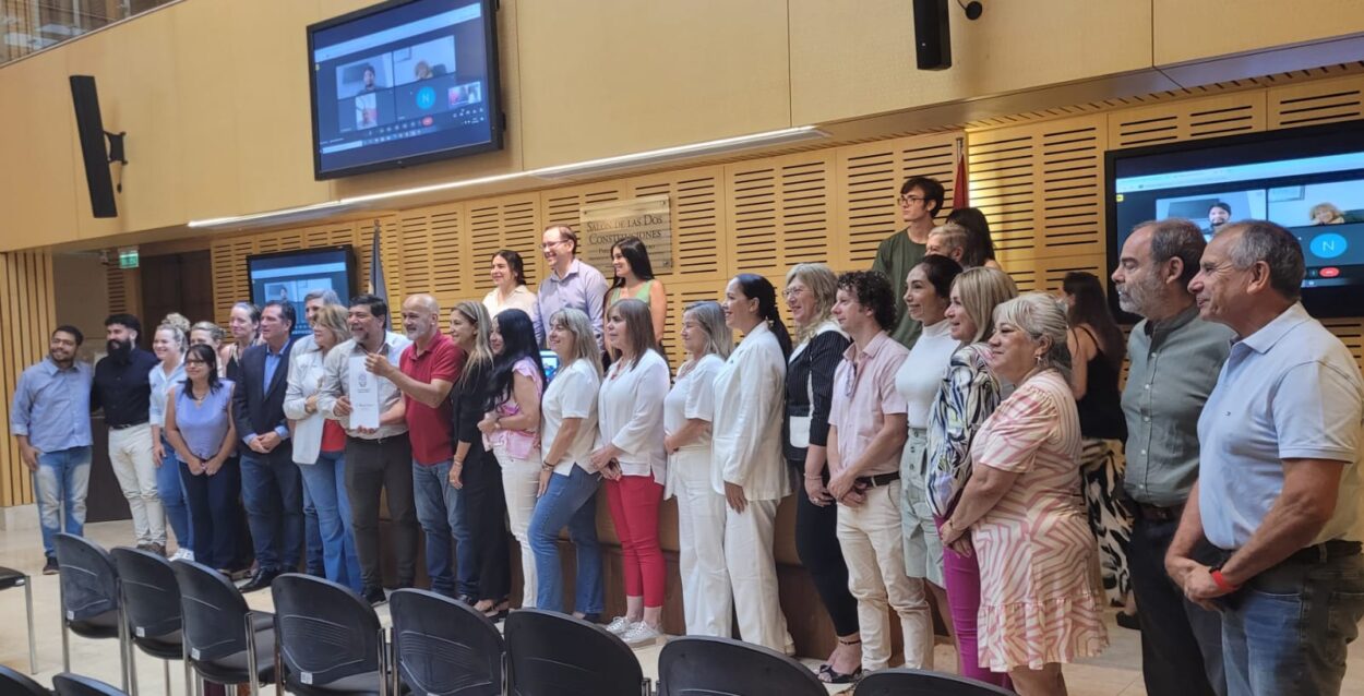 Presentaron en la Legislatura una iniciativa que permite recibir gratis por mensajería libros de escritores misioneros imagen-2