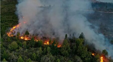 Incendio en El Bolsón: continúa el trabajo de los brigadistas ante el rápido avance del fuego imagen-2