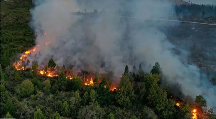 Incendio en El Bolsón: continúa el trabajo de los brigadistas ante el rápido avance del fuego imagen-6